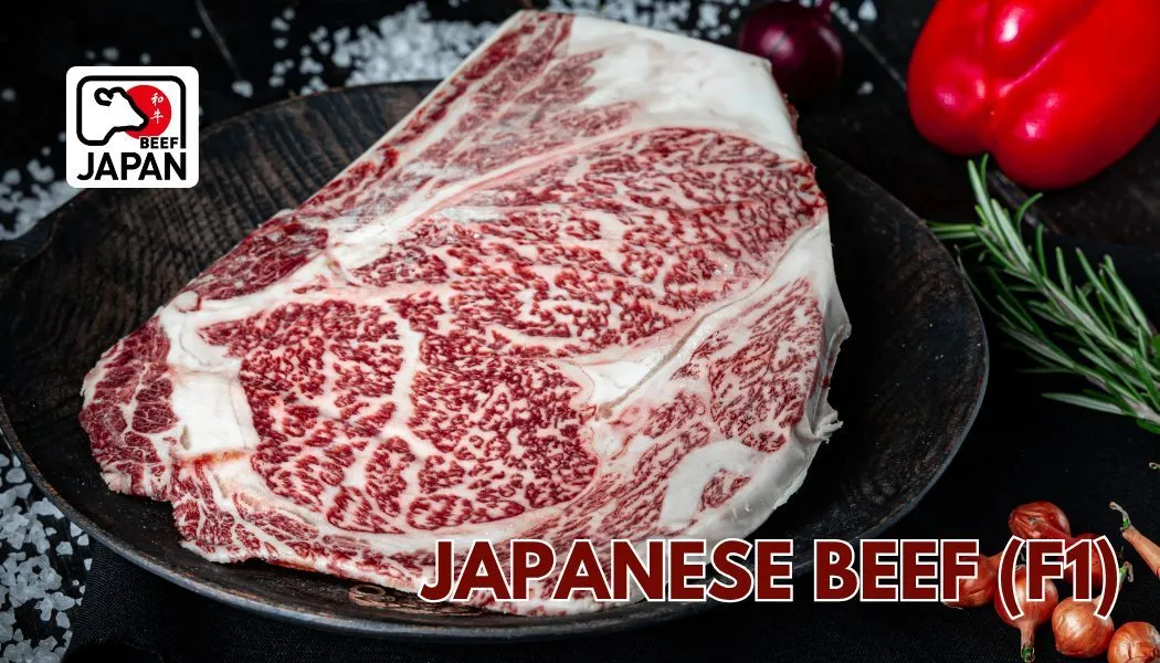 Japanese Beef (F1)